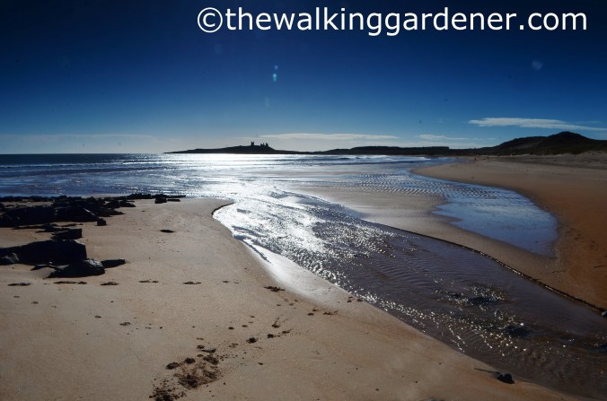Dunstanburgh Castle