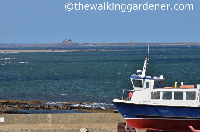 Lindisfarne Castle