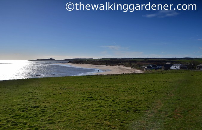 Low Newton by the Sea