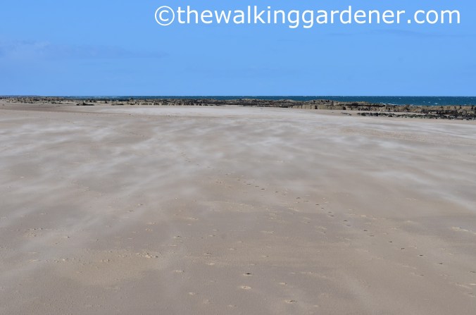 St Oswalds Way Day 5