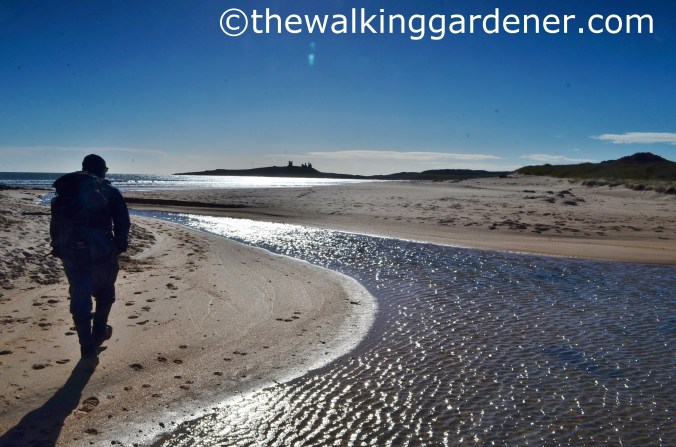 St Oswalds Way Day 5