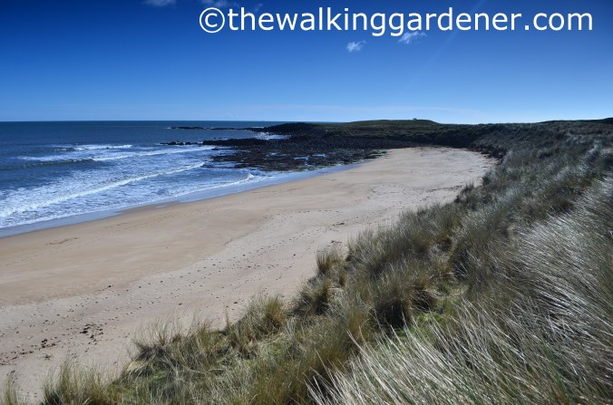 St Oswalds Way Day 5