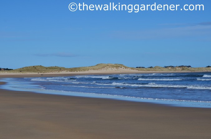 St Oswalds Way Day 5