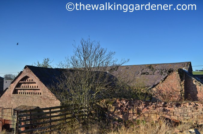 St Oswalds Way Day 6 (18)