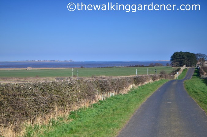 St Oswalds Way Day 6 (19)