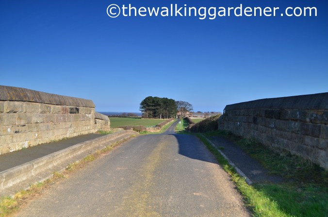 St Oswalds Way Day 6 (20)