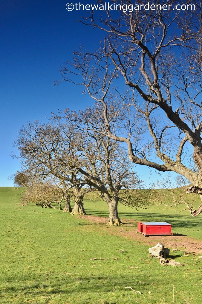 St Oswalds Way Day 6