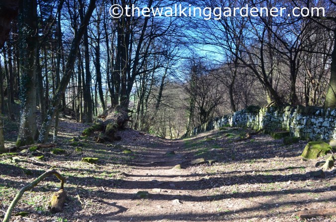 St Oswalds Way Day 6 (5)