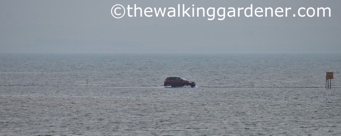 Lindisfarne crossing (2)