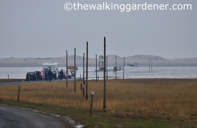 Lindisfarne crossing