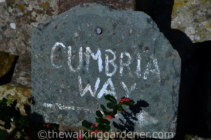 Cumbria Way Sign (4)