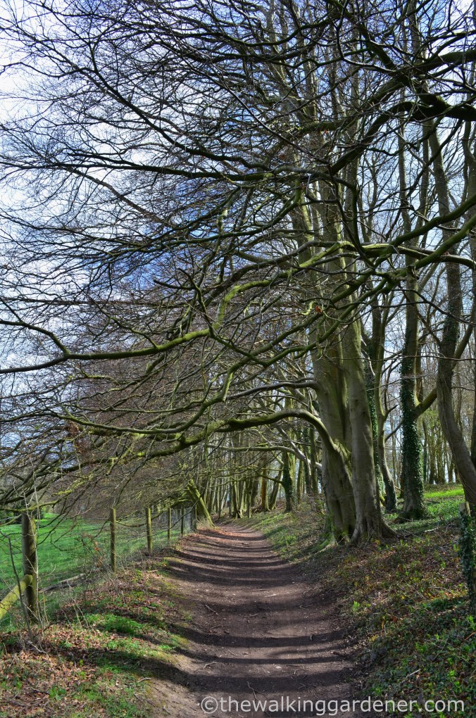 South Downs Way Day 1 (10)
