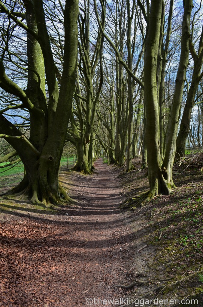 South Downs Way Day 1 (11)