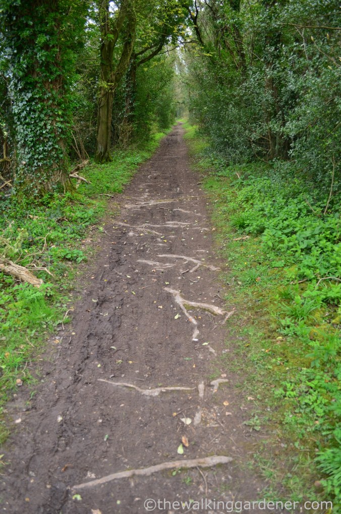 South Downs Way Day 1 (20)