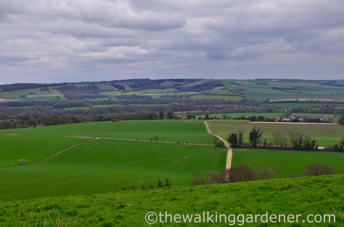 South Downs Way Day 1 (23)
