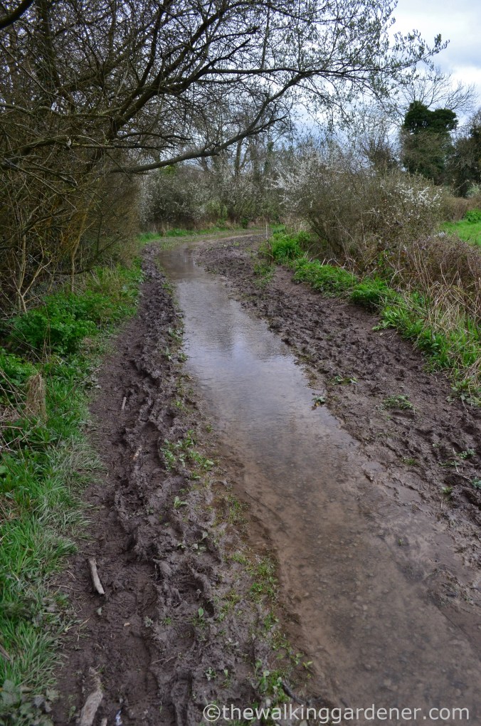 South Downs Way Day 1 (25)