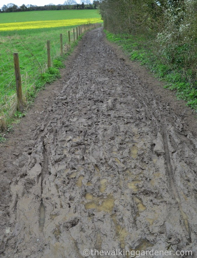 South Downs Way Day 1 (28)