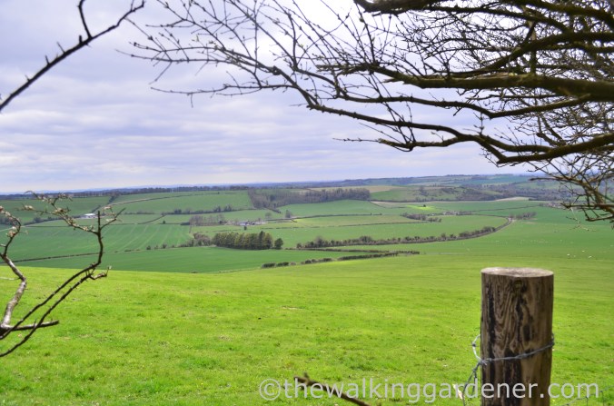 South Downs Way Day 1 (31)