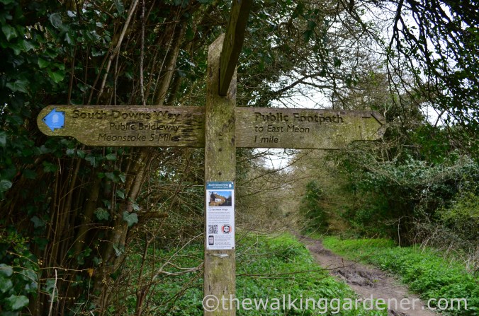 South Downs Way Day 1 (33)