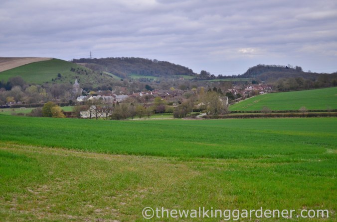South Downs Way Day 1 (34)