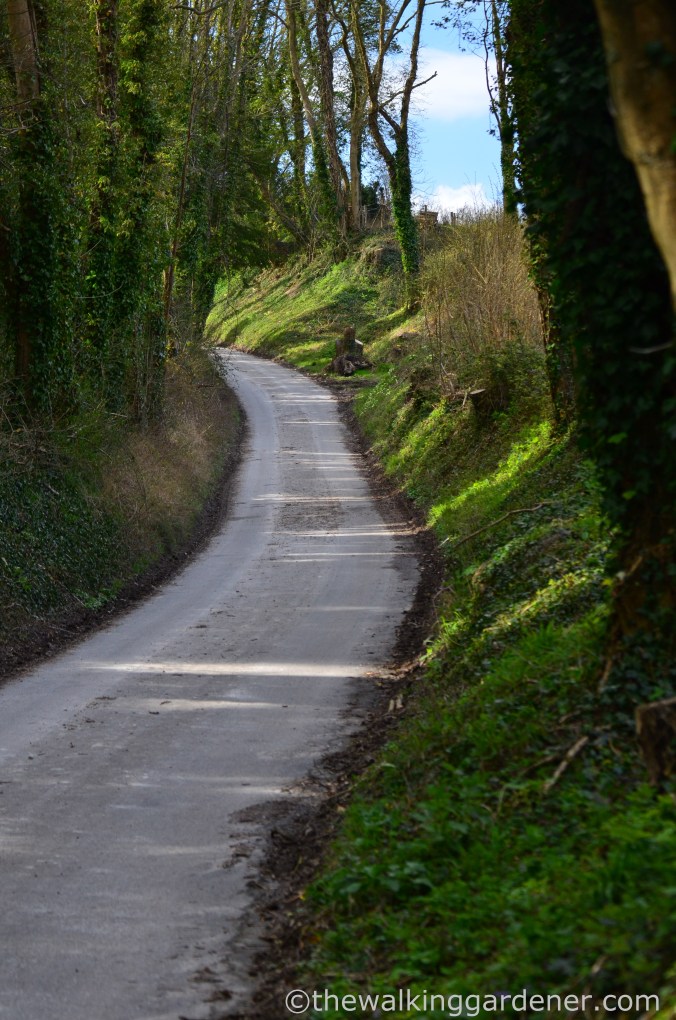 South Downs Way Day 1 (4)