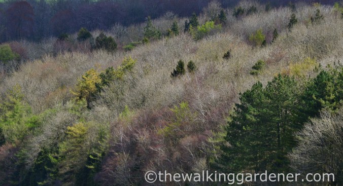South Downs Way Day 1 (9)