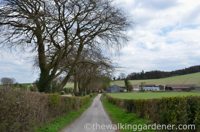 South Downs Way Day 2 (15)