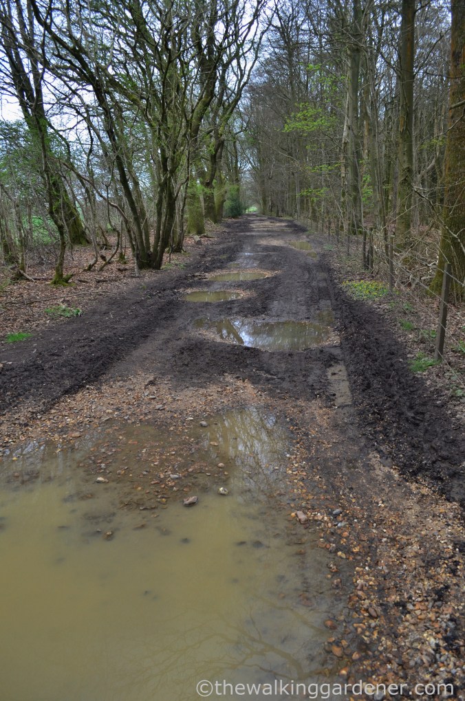 South Downs Way Day 2 (6)