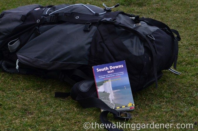 South Downs Way Day 2 (7)