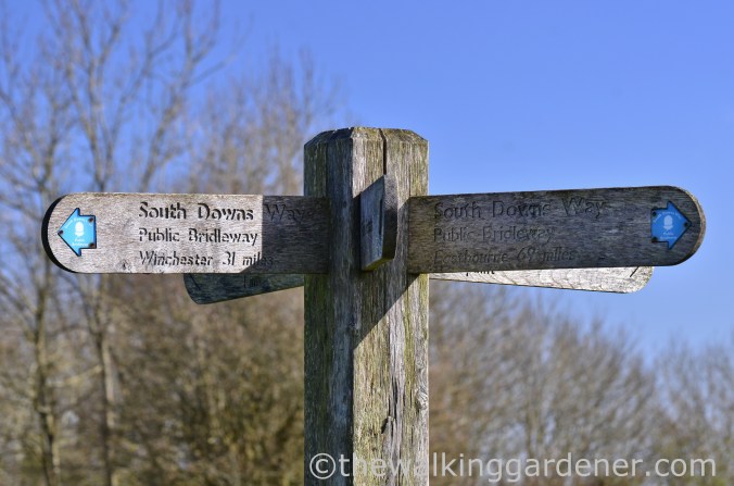 South Downs Way Day 3 (10)