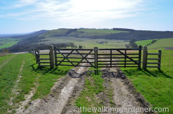 South Downs Way Day 3 (15)
