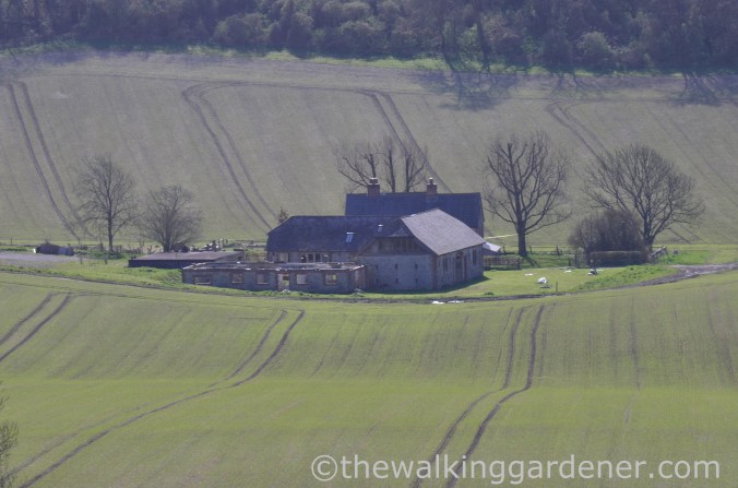 South Downs Way Day 3 (16)