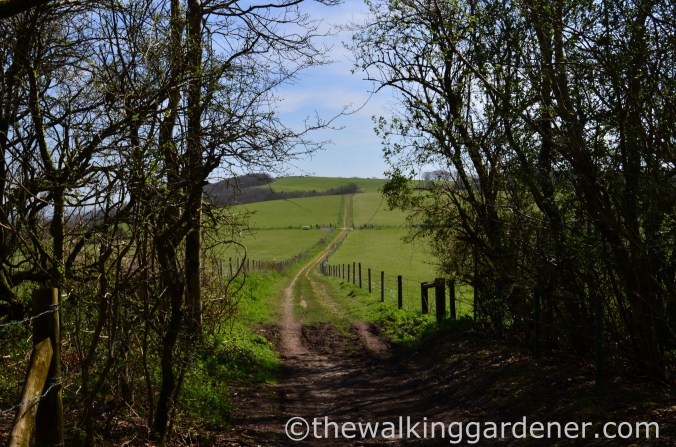 South Downs Way Day 3 (24)