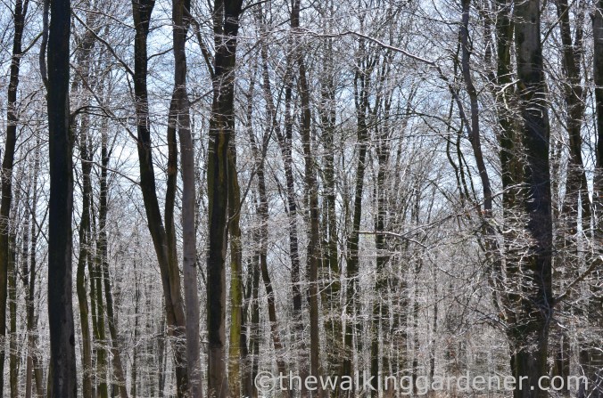 South Downs Way Day 3 (36)