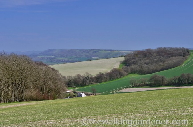South Downs Way Day 3 (40)