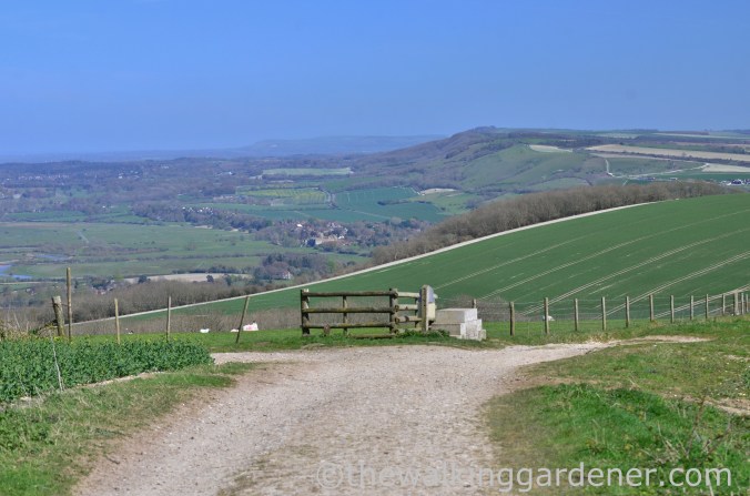 South Downs Way Day 3 (45)
