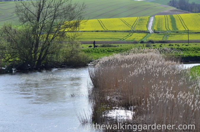 South Downs Way Day 3 (48)