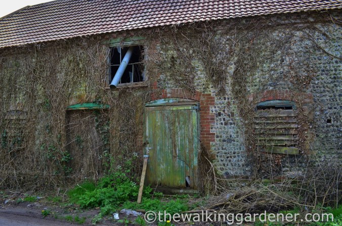 south-downs-way-day-4-10