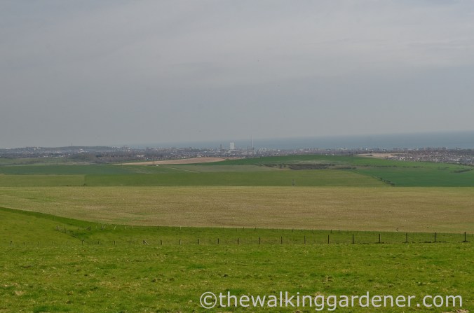 south-downs-way-day-4-15