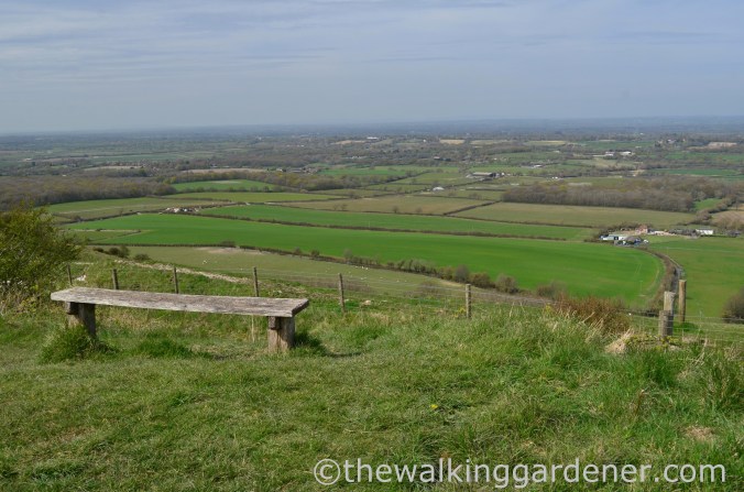 south-downs-way-day-4-17