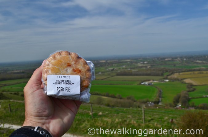 south-downs-way-day-4-18