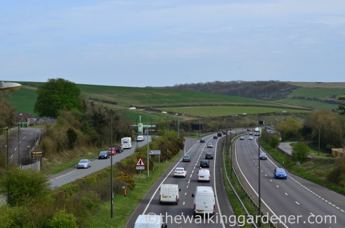 south-downs-way-day-4-23