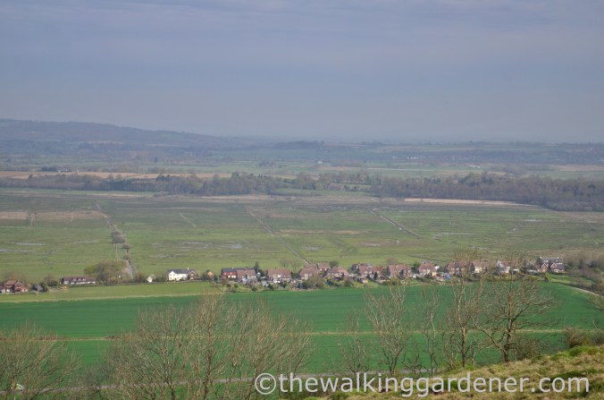 south-downs-way-day-4-3