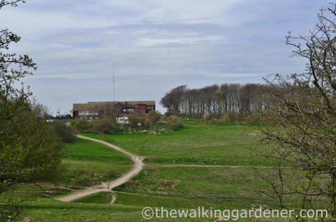 devils-dyke-3