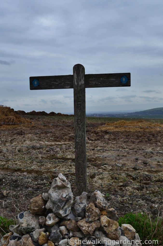 greenwich-meridian-line