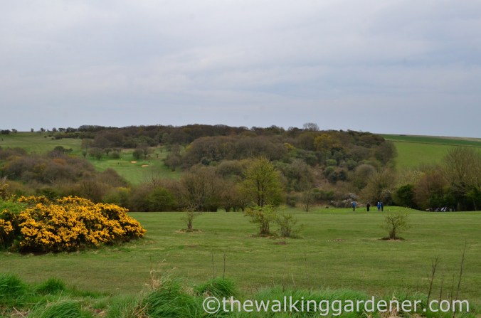 pyecombe-golf-club-1