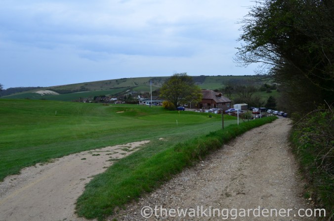 pyecombe-golf-club-2