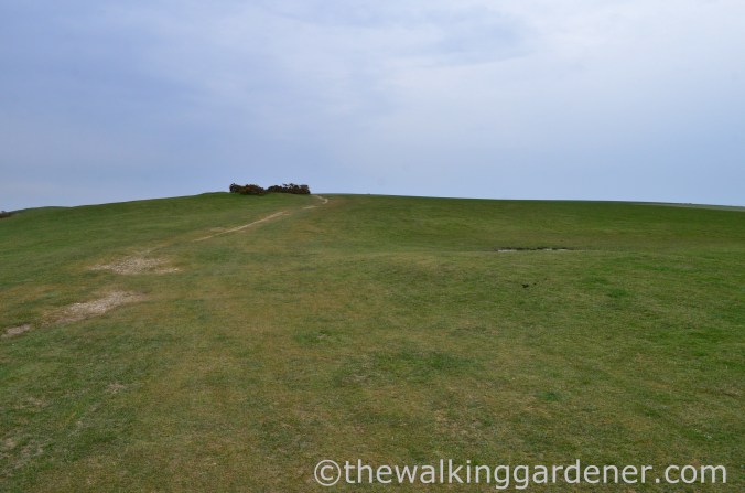 pyecombe-to-southease-south-downs-way-11