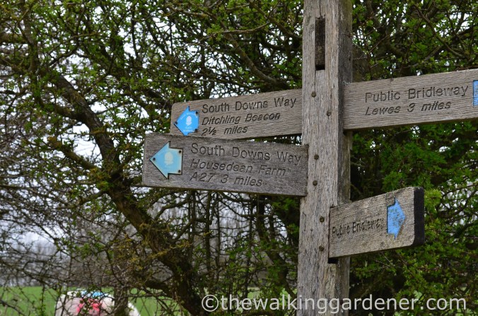 pyecombe-to-southease-south-downs-way-21