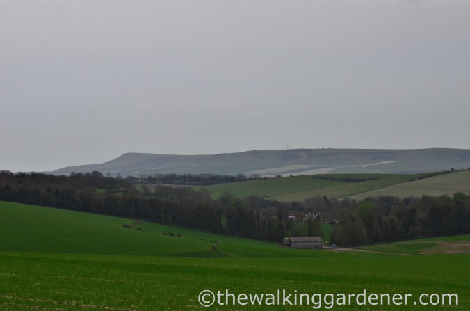 pyecombe-to-southease-south-downs-way-25
